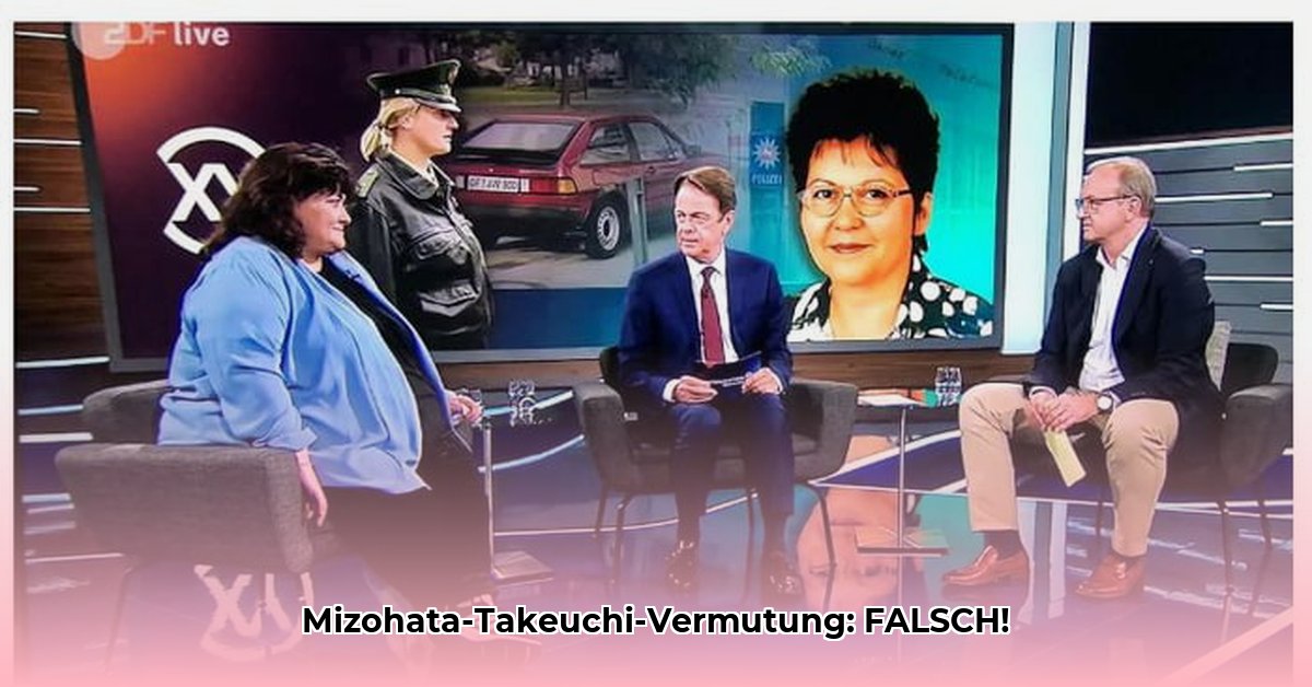 mizohata-takeuchi-vermutung